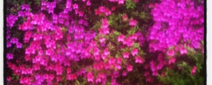 abb907647c5c11e192e91231381b3d7a_7